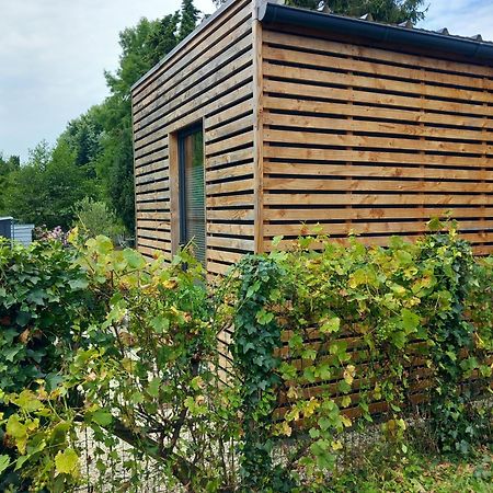 Lodge Au Vent Savigne-l'Eveque Zewnętrze zdjęcie